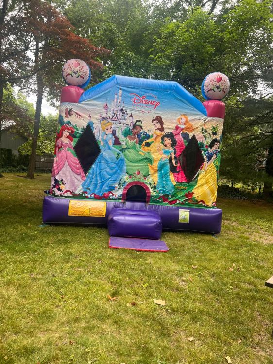 Princess Bouncy Combo rental