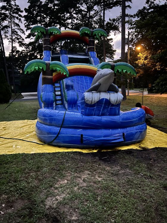 Dolphin inflatable water slide