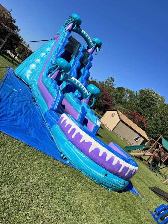 Jelly Fish themed inflatable water slide